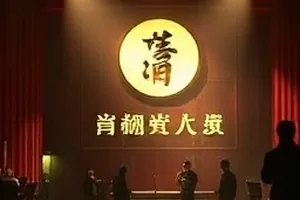 候鸟停靠站封面：芦苇荡上方飞过的鸟群剪影